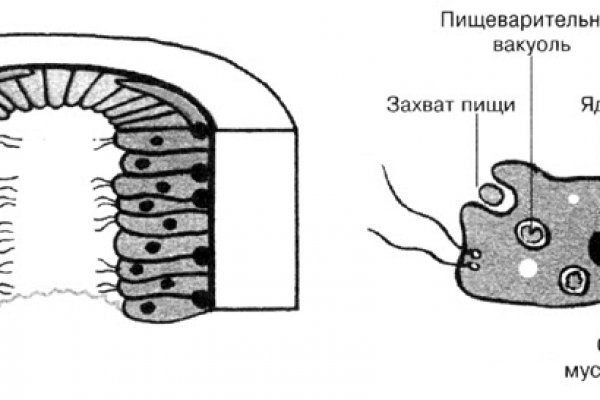 Кракен маркетплейс актуальные ссылки