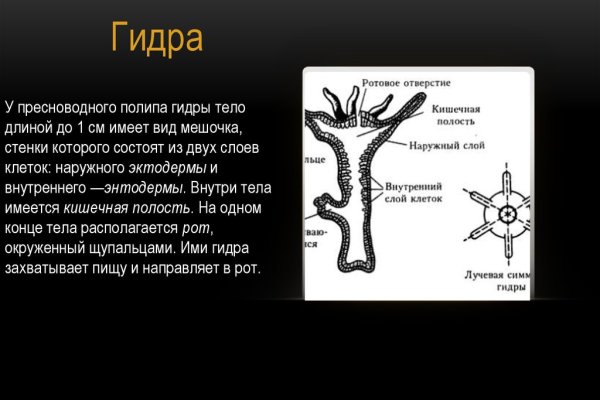 Можно вывести деньги с кракена