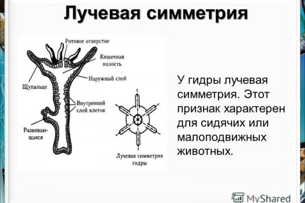 Как попасть на сайт кракен