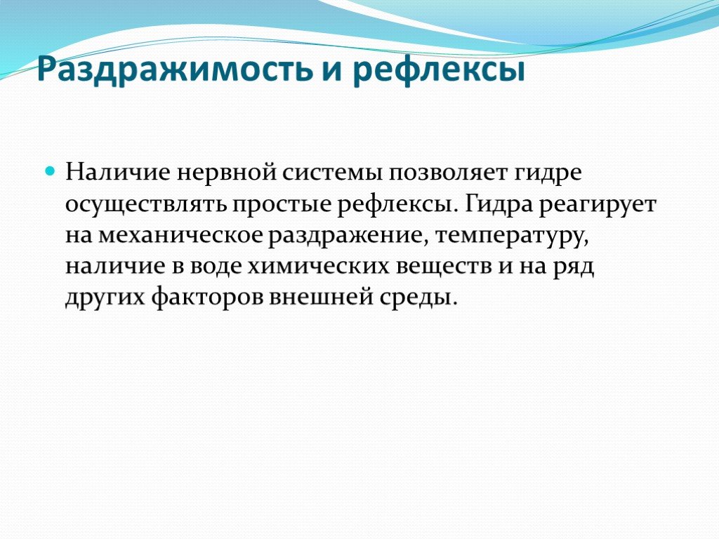 Что такое кракен маркетплейс