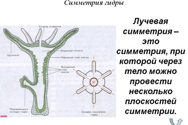 Ссылка на кракен тор